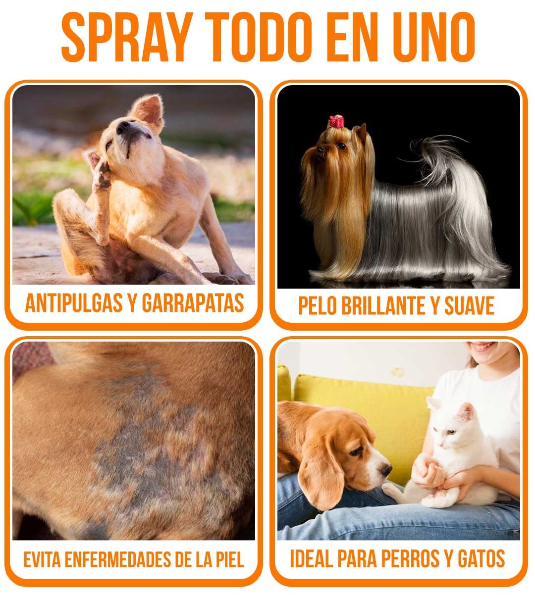 Fragancia Premium Duradera y Protección Antiparasitaria - DERMAPET©